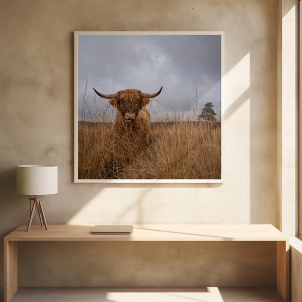 Tablou înramat „It wasn't me” de Gert van den Bosch