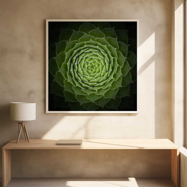 Tablou înramat „Succulent” de Victor Mozqueda