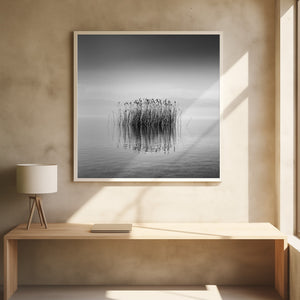 Tablou înramat „Black and White Silence” de George Digalakis