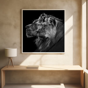 Tablou înramat „Lion and  lioness portrait” de Laurent Lothare Dambreville
