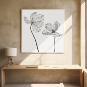 Tablou înramat „Same tulip : front- and backview” de Lotte Grønkjær