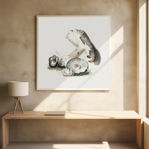 Tablou înramat „Vintage Agaricus Augustus Mushroom” de Biodiversity Heritage Library