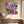 Tablou înramat „Df675a and To Everything There Is a Season Bloom I” de Dorothy Fagan