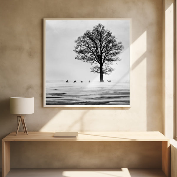 Tablou înramat „Roes” de Silvija Danelsone