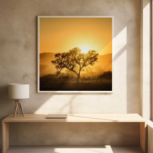 Tablou înramat „Golden Sunrise” de Piet Flour