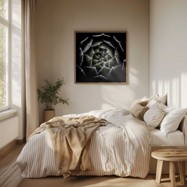 Tablou înramat „Sempervivum Rosette” de Victor Mozqueda