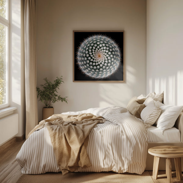 Tablou înramat „Notocactus scopa” de Victor Mozqueda