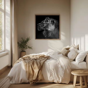 Tablou înramat „Lion and  lioness portrait” de Laurent Lothare Dambreville