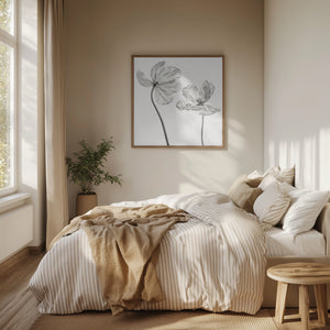 Tablou înramat „Same tulip : front- and backview” de Lotte Grønkjær