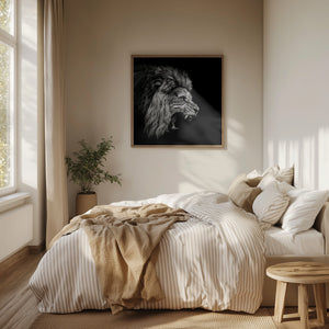 Tablou înramat „Roaring Lion #2” de Christian Meermann