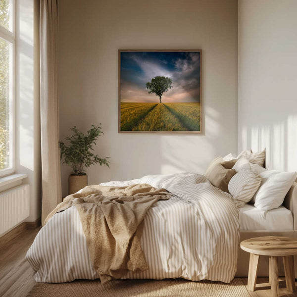 Tablou înramat „One” de Piotr Krol (Bax)