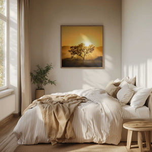 Tablou înramat „Golden Sunrise” de Piet Flour