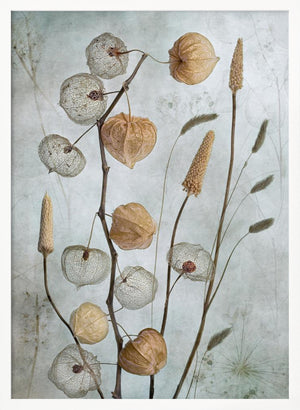 Tablou înramat „Lanterns*” de Mandy Disher