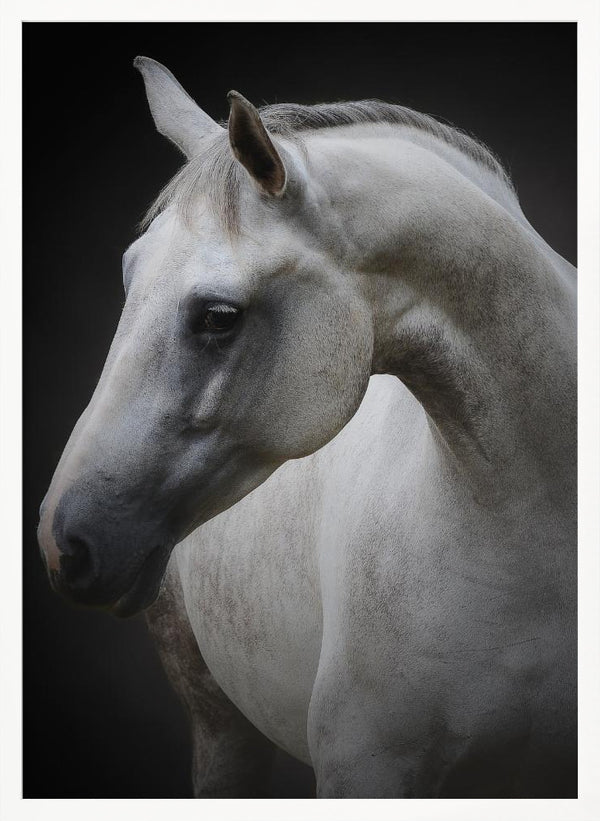 Tablou înramat „Maggie” de Avishai Avivi