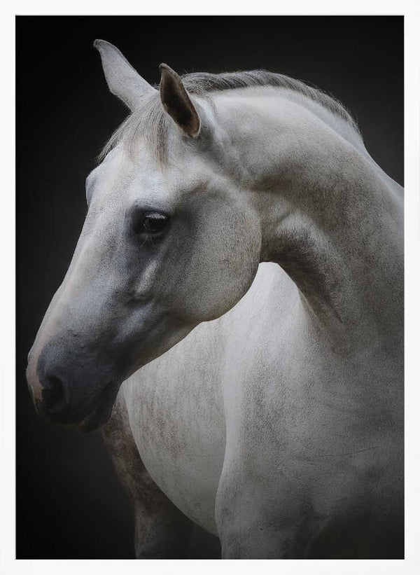 Tablou înramat „Maggie” de Avishai Avivi