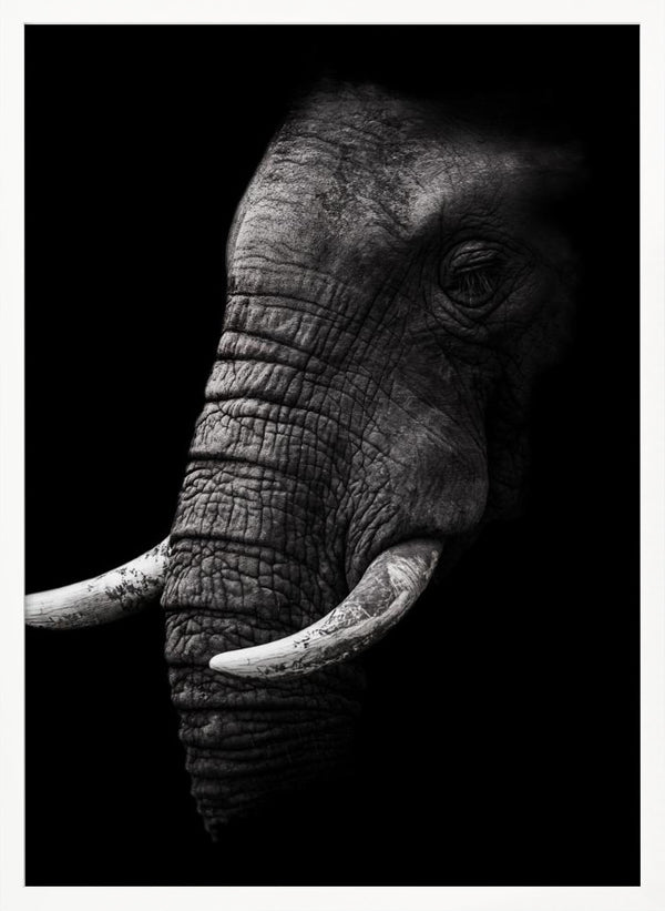 Tablou înramat „Portrait” de WildPhotoArt