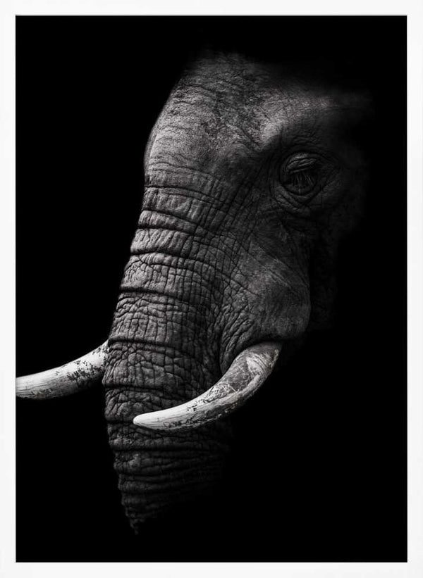 Tablou înramat „Portrait” de WildPhotoArt