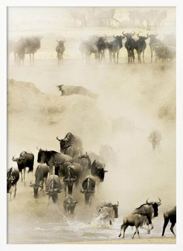 Tablou înramat „Swarming” de Husain Alfraid