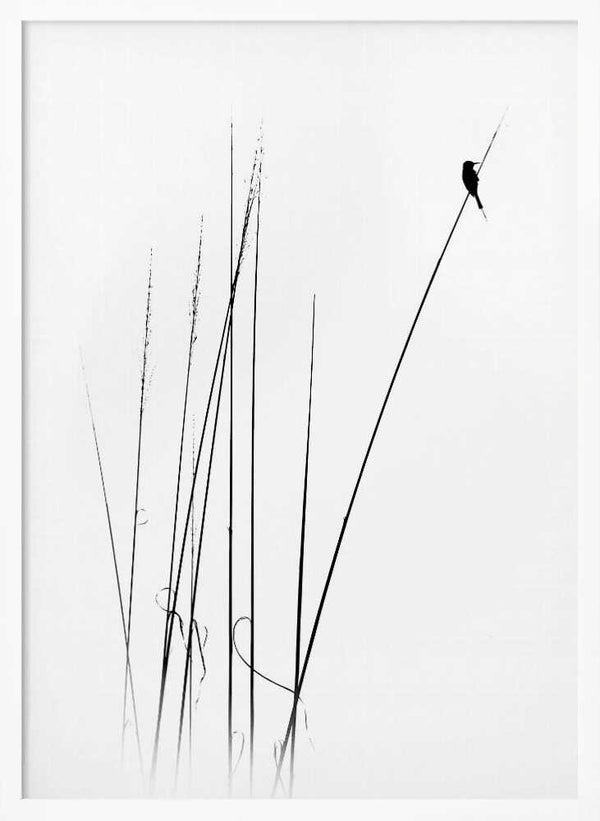 Tablou înramat „a sabbatical” de Swapniel s deshpnde