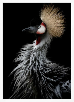 Tablou înramat „Crowned crane's portrait” de Eiji Itoyama