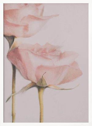 Tablou înramat „Two Roses” de Delphine Devos