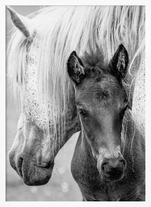 Tablou înramat „The Foal” de Jacky Parker