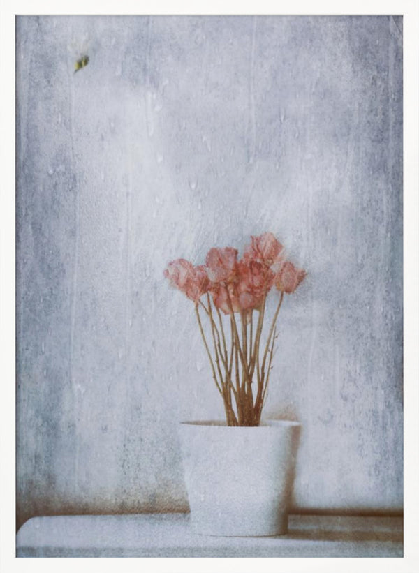 Tablou înramat „When Summer's Gone...” de Delphine Devos