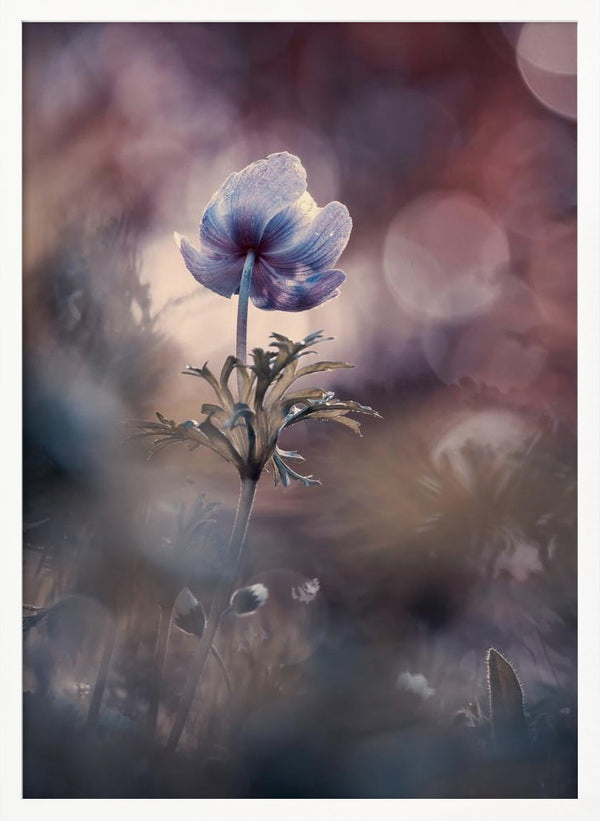 Tablou înramat „A brighter future” de Fabien BRAVIN