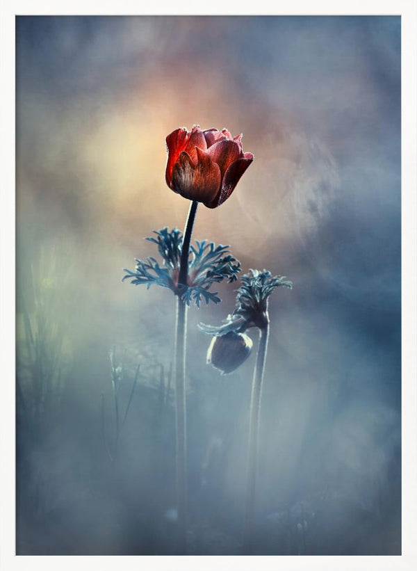 Tablou înramat „Where poetry and memories remain” de Fabien BRAVIN