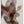 Tablou înramat „Red Seaweed” de Pictufy Studio II