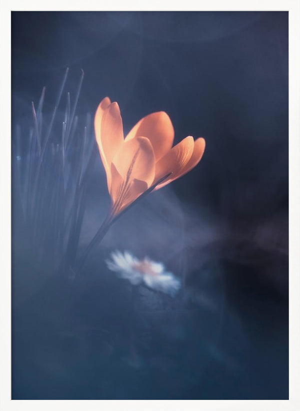 Tablou înramat „Upanishad” de Fabien BRAVIN