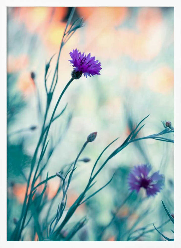 Tablou înramat „Colors game 2” de Fabien BRAVIN