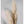 Tablou înramat „Pampas Grass Grey” de Pictufy Studio III