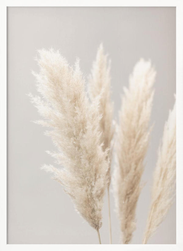 Tablou înramat „Pampas Grass Grey 02” de Pictufy Studio III