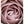 Tablou înramat „Pink Rose No 04” de Pictufy Studio III