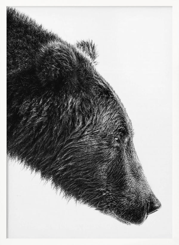 Tablou înramat „The Salmon Catcher” de Anchor Lee