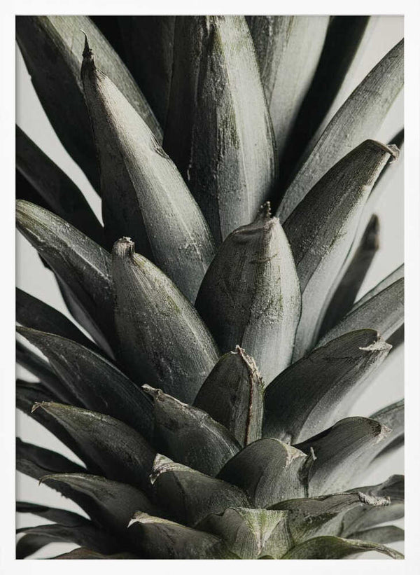 Tablou înramat „Pineapple close up” de Pictufy Studio III