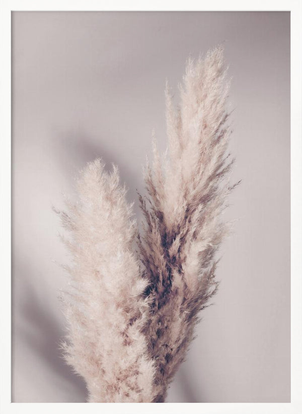 Tablou înramat „Pampas Grass” de Pictufy Studio III