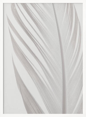 Tablou înramat „Feather_006” de Pictufy Studio III
