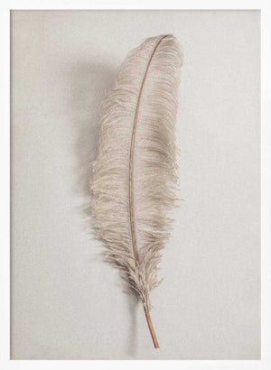 Tablou înramat „Feather_002” de Pictufy Studio III