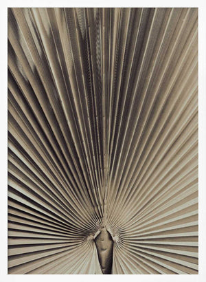 Tablou înramat „Palmblad_001” de Pictufy Studio III