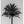 Tablou înramat „Palm_003” de Pictufy Studio III