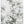 Tablou înramat „Eucalyptus_001” de Pictufy Studio III