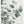 Tablou înramat „Eucalyptus_003” de Pictufy Studio III