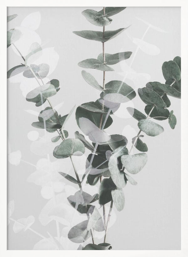 Tablou înramat „Eucalyptus_002” de Pictufy Studio III