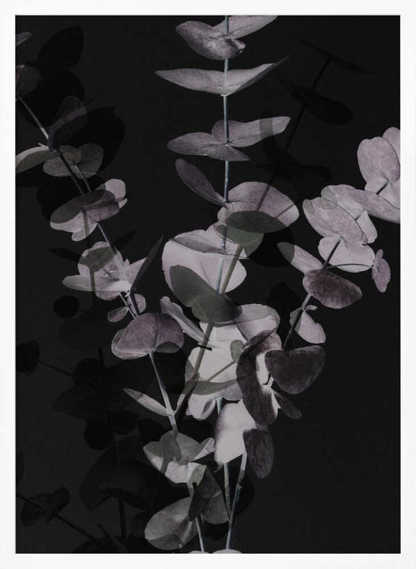 Tablou înramat „Eucalyptus_Negative_001” de Pictufy Studio III