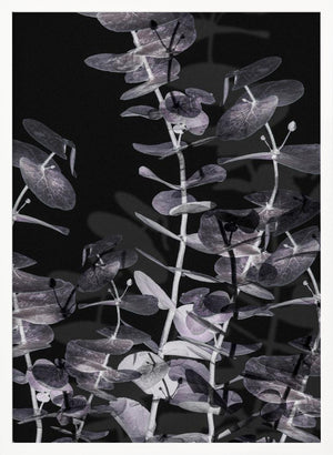 Tablou înramat „Eucalyptus_Negative_002” de Pictufy Studio III
