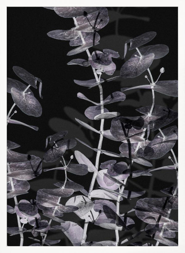 Tablou înramat „Eucalyptus_Negative_002” de Pictufy Studio III