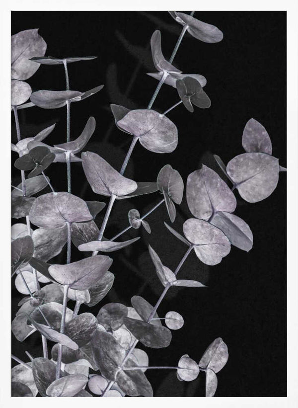 Tablou înramat „Eucalyptus_Negative_003” de Pictufy Studio III