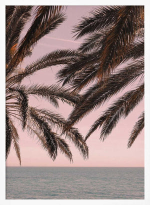 Tablou înramat „Palm_011” de Pictufy Studio III
